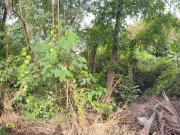 Blue Ridge A Katipunan QC vacant lot for sale