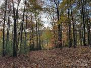 Bluemist Way Unit R, Arden, Plot For Sale