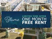 Blume Apartments