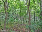 Bob Rogers Rd, Frankfort, Plot For Sale