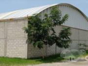 Bodega comercial en Paraiso Montesori, Cuernavaca, Morelos