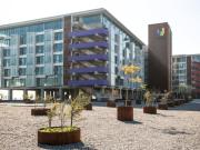 Bodega en Arriendo en BODEGA 724 mt2. CLUB HIPICO PEDRO...