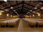 Bodega en Navarrete