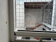 BODEGA EN RENTA CALZADA INDEPENDENCIA NORTE