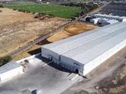 BODEGA EN RENTA DE 8281 M2 STA ROSA PLAN DE AYALA LEON GTO