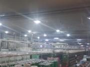 BODEGA EN RENTA EN LERMA BODEGA EN RENTA EN LERMA