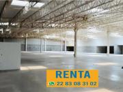 Bodega en Renta en Los Torrentes Aeropuerto