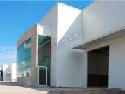 Bodega en renta en Palo Alto, Querétaro, Querétaro