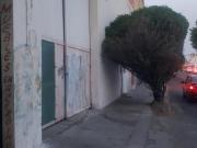 Bodega Industrial en Centro