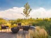 Boho Luxe 1 Bedroom Apartment for Rent at 1181 Sunset...