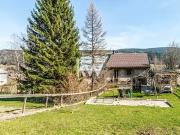 Bois d'Amont 39220 Achat / Vente maison 10 pièces t10