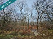 BOIS DE 9 570 m² À 5min DE TOUTES COMMODITÉS