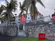 Bois De Nefles Saint Denis 97490 Achat / Vente...