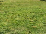 BOIS GUILLAUME Haute Normandie 76230 91956958