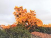 Bois, lac, plage, mer à 2 pas de l'appartement!