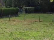 Bois l'Evêque 76160 Programme neuf terrain neuf à vendre