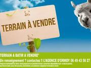 Boissettes 77350 Programme neuf terrain neuf à vendre