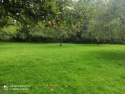 Boissy Lamberville Vente Terrain 27