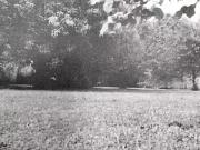 Boissy le Châtel 77169 Programme neuf terrain neuf à vendre