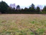 Boissy sous Saint Yon Vente Terrain 91