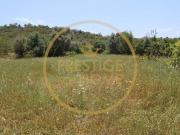 Boliqueime Algarve 86008669