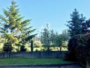 BOLOGNESE TRENTO in contesto immerso nel verde di ville...