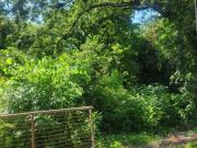 Bolton Rd Nw, Atlanta, Plot For Sale