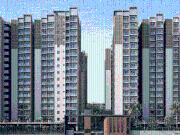 Habulus Tranquil,Bommasandra 3 BHK Apartment For Sale...