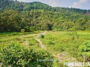Bonita Hectárea junto al rio en Huauchinango