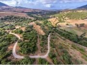 Bonita Parcela Rústica en la campiña tarifeña m² El Pulido