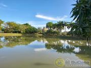 Bonito apartamento en planta baja en urbanizacion tranquila Bonito apartamento en planta baja en urbanizacion tranquila