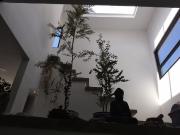 Bonito PH de 2 pisos con un estilo unico moderno!