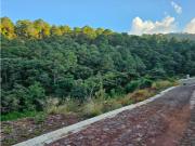 Bonito terreno en zona de bosque de mazamitla jalisco
