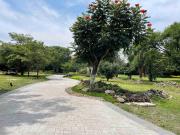 Bonitos Lotes en venta dentro de Fraccionamiento a 2...