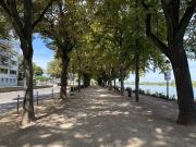 BONN Zentrum, tolle 3,5 Zi. Maisonnette Whg, 93 m² Wfl....