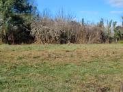 Bonnetan 33370 Programme neuf terrain neuf à vendre