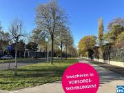 Bonsai Ihr neues Investment im Grünen Wiens