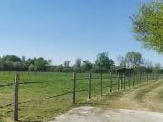 Bordeaux 33000 Achat / Vente maison 20 pièces t20 piscine