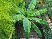 BORDEAUX QUARTIER ST SEURIN