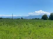 Bordes 64510 Achat / Vente terrain