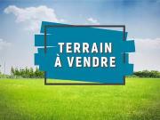 Borgo 20290 Achat / Vente terrain