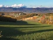 Borgo S.Lorenzo ANNESSO MQ 120 terreno giardino totali 6...