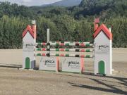 BORGO S LORENZO COLONICA MQ 300 TERRENO