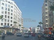 Borgone Maarif Belvédère Roche Zola Centre ville Borgone Maarif Belvédère Roche Zola Centre ville