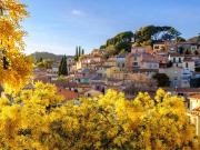 BORMES LES MIMOSAS quartier LA FAVIERE 800 mètres de la...