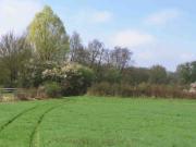 Bornel Vente Terrain 60