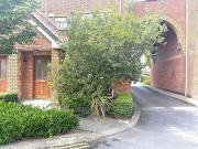 Boroimhe Cherry, Swords, County Dublin DNG Wall Tuckey...