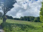 Borrismore Urlingford Kilkenny Co Kilkenny