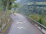 bosco con rudere