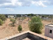 Bosco in vendita a Specchia